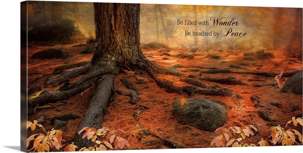 Inspirational sentiment over an image of a forest floor covered in tree roots and fallen autumn leaves.
