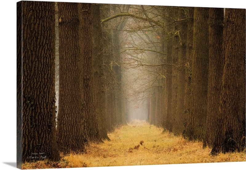 Yellow Path Wall Art, Canvas Prints, Framed Prints, Wall Peels | Great ...