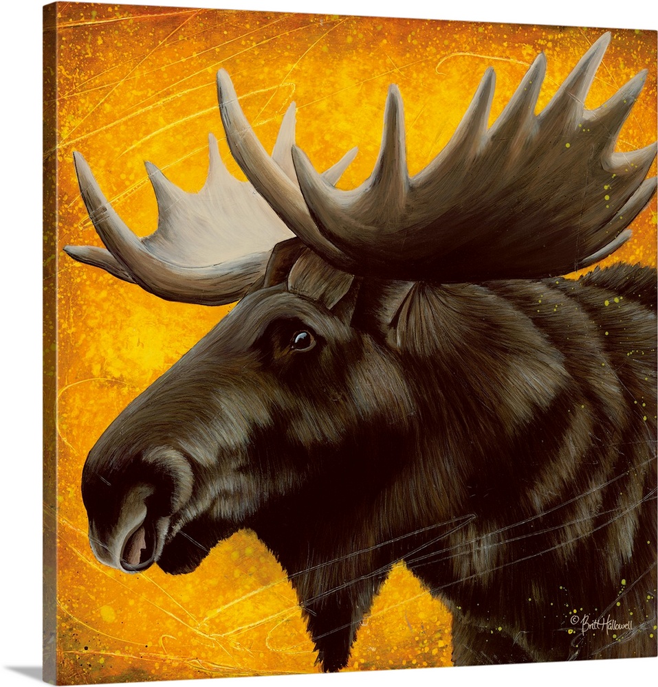 Contemporary portrait of a bull moose with large antlers.