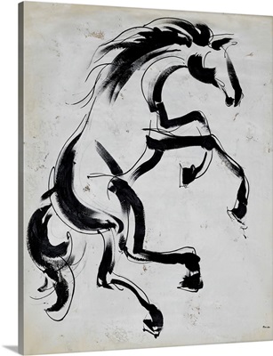 Always Horsing Around