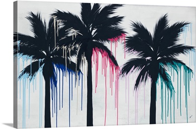 Color Splash Palms