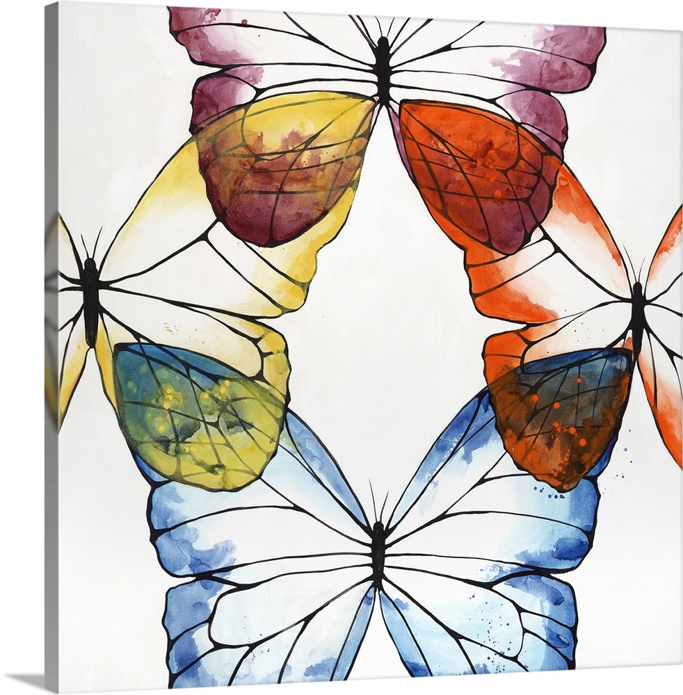 Square painting of four butterflies connected by the wing on each side of the canvas with a white background.