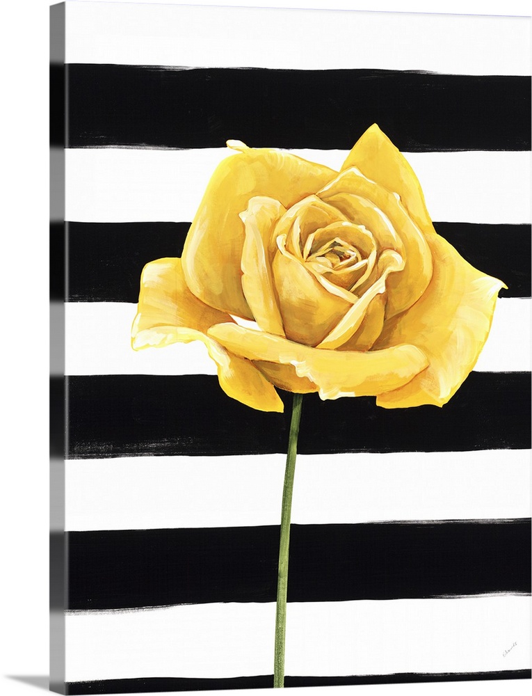 A single yellow rose over a black and white striped background.