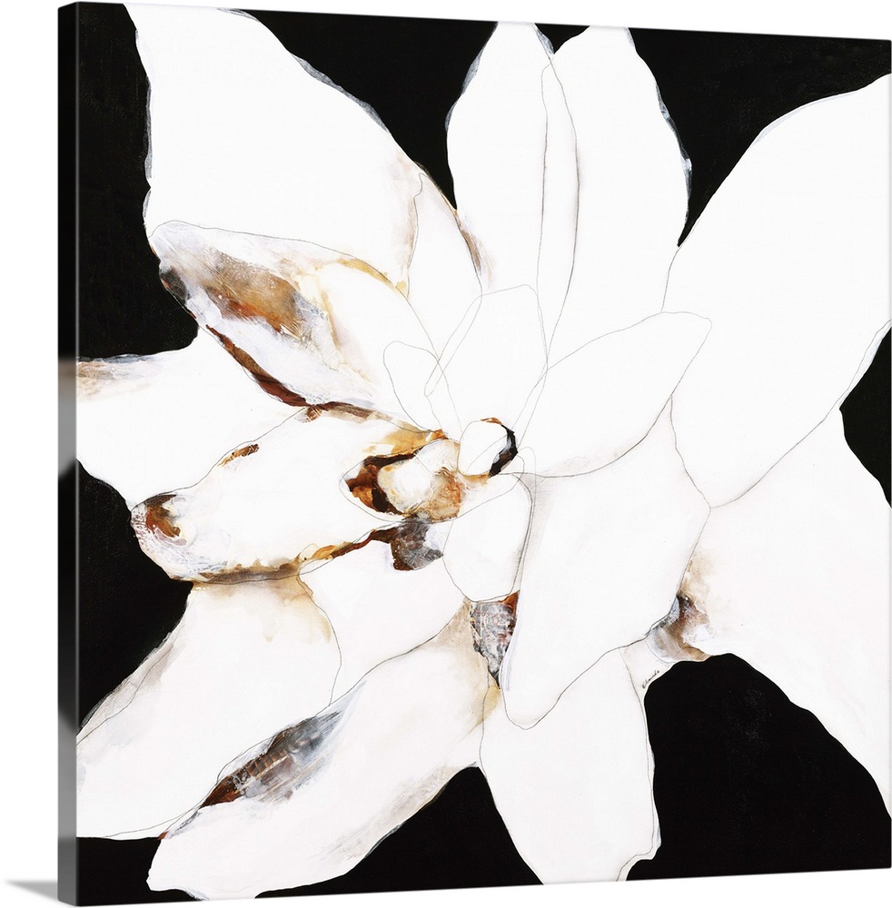 Contemporary abstract painting using resembling a white flower against a black background.