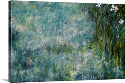Iris Blooms III
