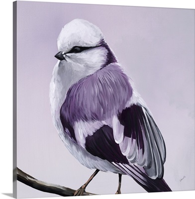 Little Birdies IV