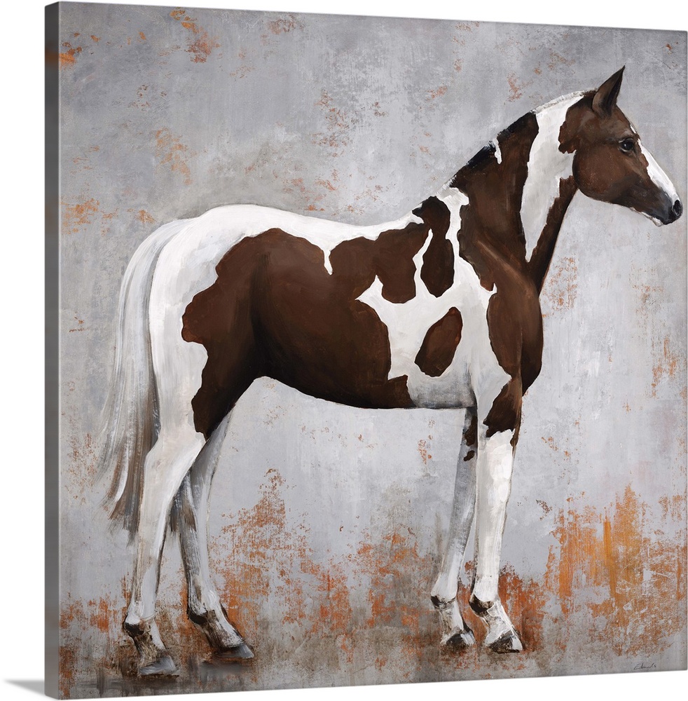 Contemporary portrait of a paint horse in profile.