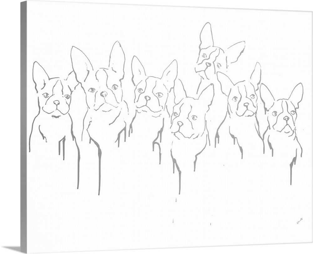 Gray outline of a group of french bulldogs.