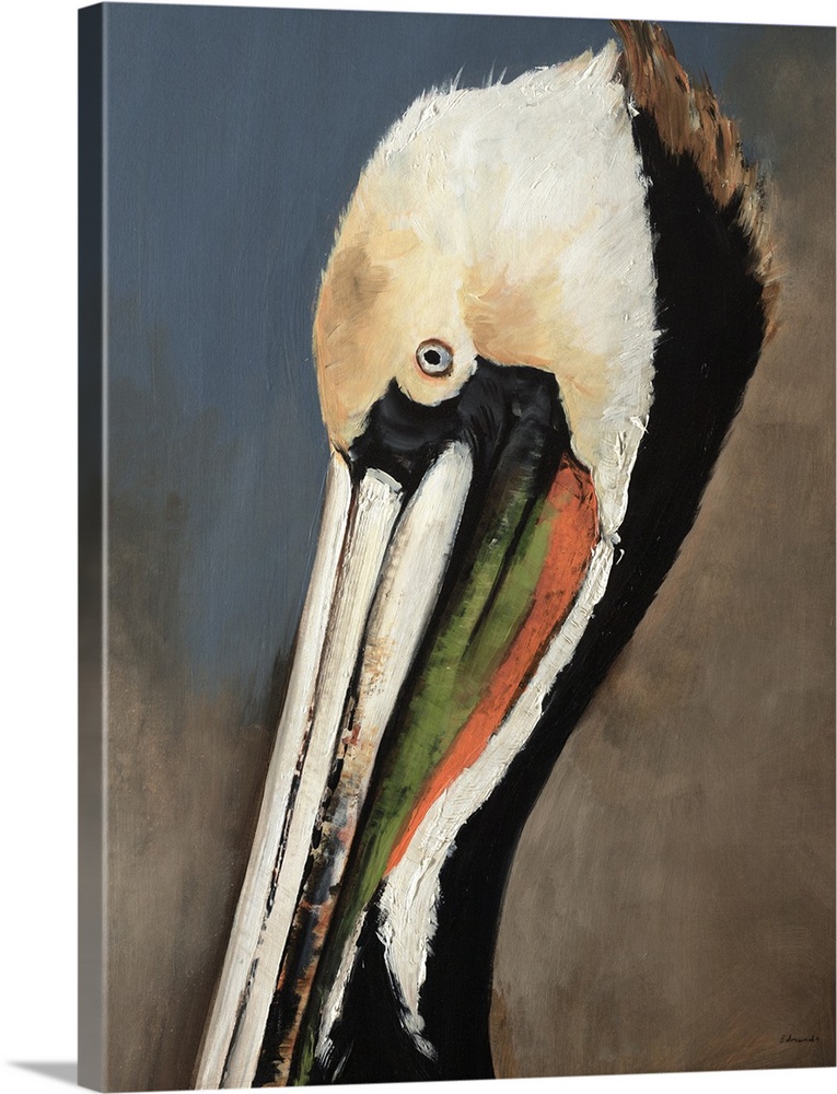 Contemporary portrait of the head and bill of a Brown Pelican in breeding plumage, a sea-faring bird known for its large t...