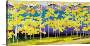 Skycast image thumbnail