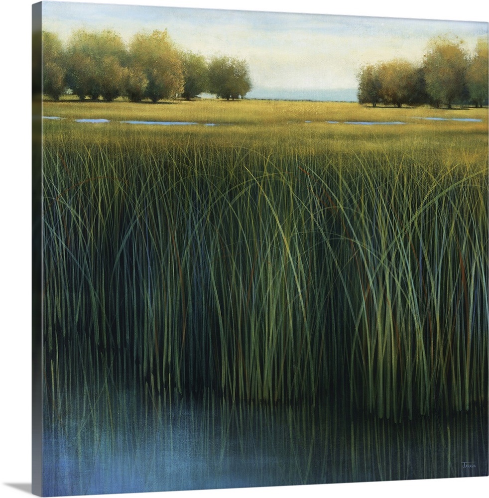 Tall Grass Wall Art, Canvas Prints, Framed Prints, Wall Peels Great
