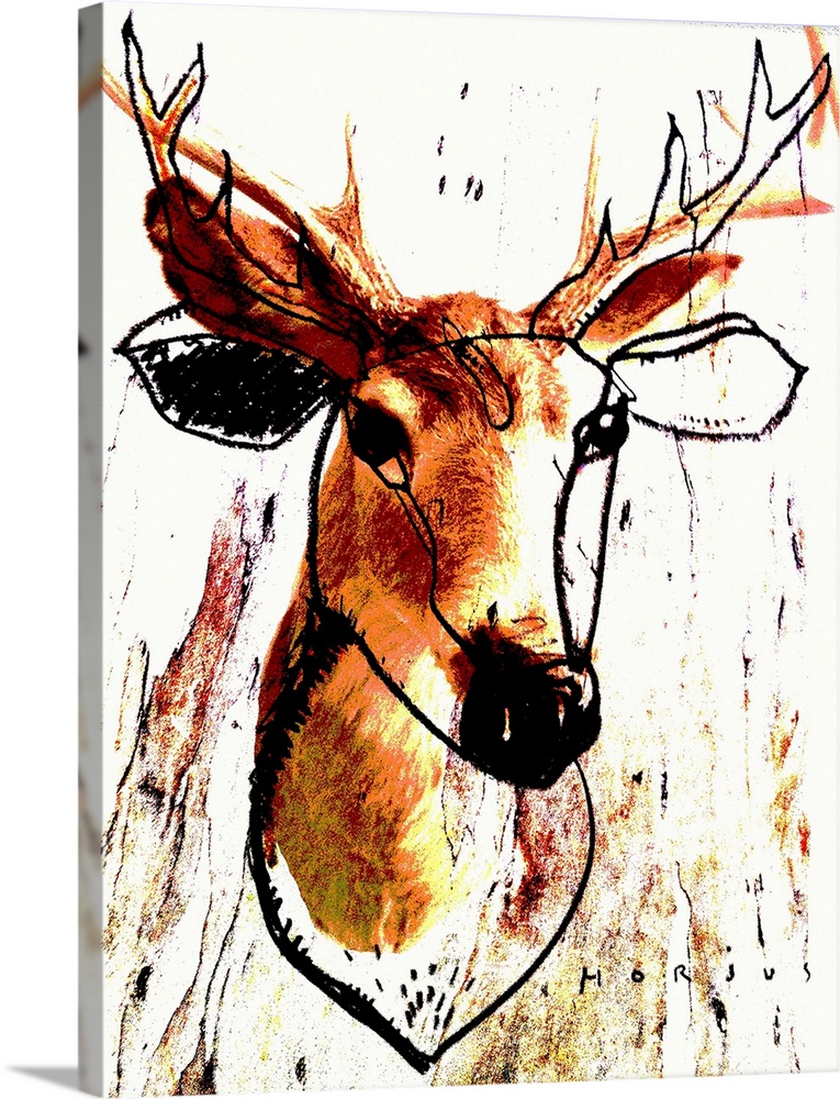 Deer head bust both photographed and drawn with pencil.