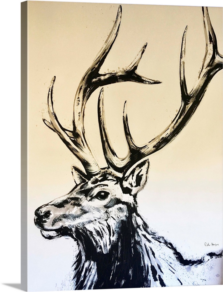 An ink wash painting of the head of a five point bull elk.