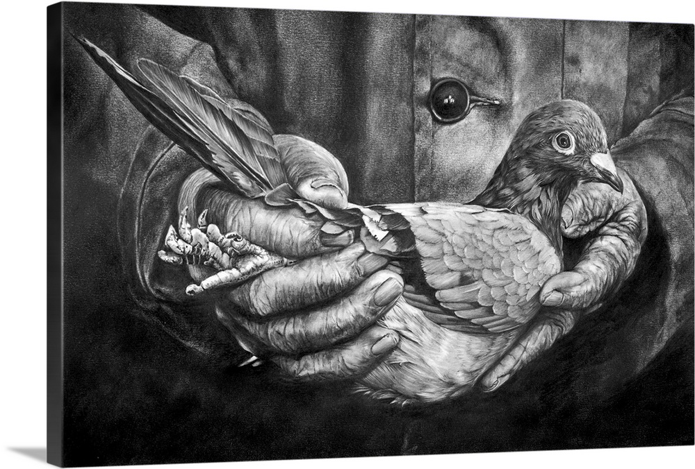 A highly detailed and realistic pencil drawing depicting a homing pigeon being held lovingly by the owner.