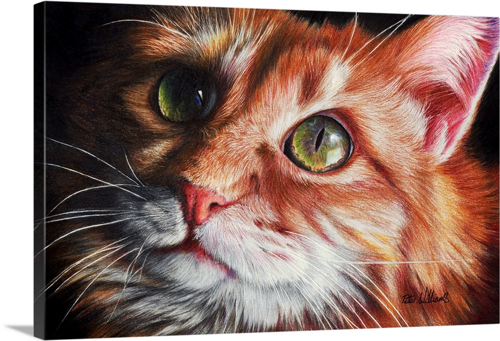 A colored pencil portrait of a cute ginger kitten, particular attention has been paid to the eyes which are a real focus o...