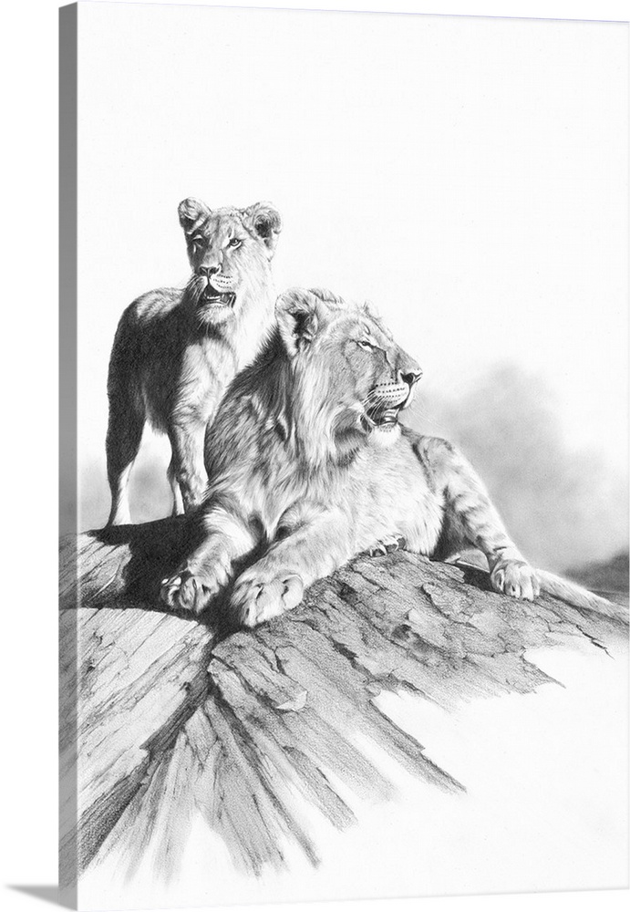 'Double Trouble' is a graphite pencil drawing, highly detailed artwork featuring a pair of adolescent lions on top of a ro...