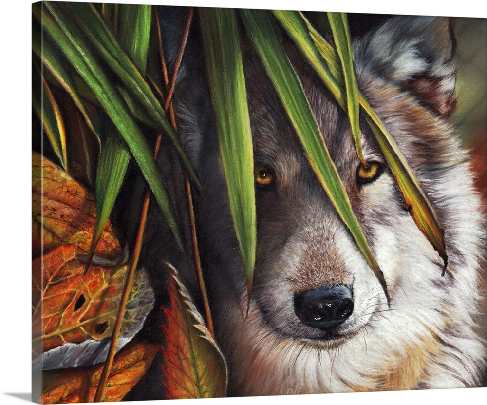 An elusive gray wolf peers through Autumn foliage, captured with pastels.