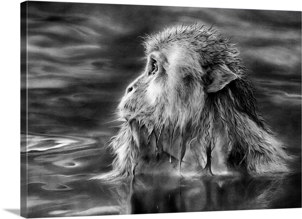 Pencil on Stonehenge paper of a Snow Monkey soaking in a hot volcanic pool.