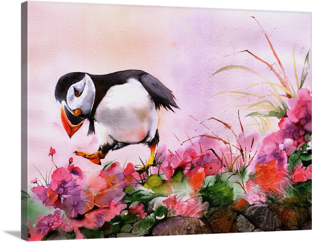 A dancing Atlantic Puffin in amongst wild flowers, foliage and rocks.
