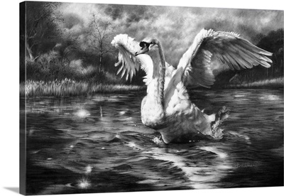 Ride A White Swan
