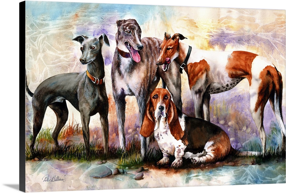 A watercolor portrait of four hounds, including a lovely old Basset hound.