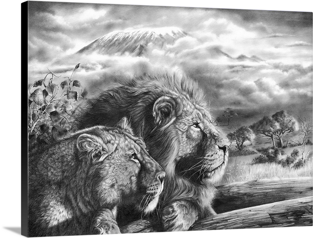 'The Snows of Kilimanjaro' is a graphite pencil drawing on paper. A highly detailed artwork featuring a pair of adult lion...