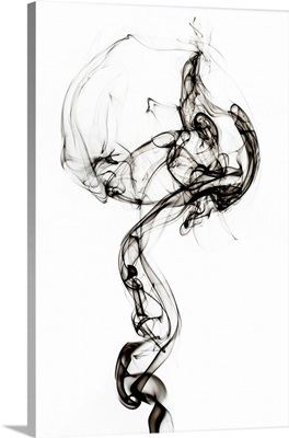 Abstract Black Smoke - Medusa