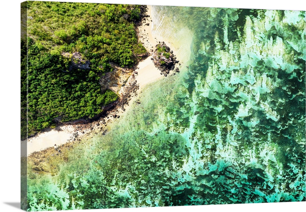 Aerial Summer - Aquamarine Coral Beach