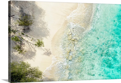 Aerial Summer - Seagreen Beach
