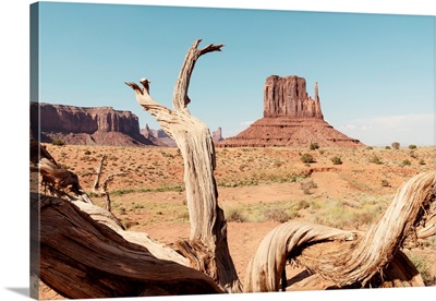 American West - Monument Valley V