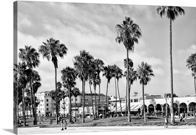 Black And White California Collection - Venice Beach II