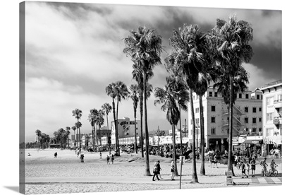 Black And White California Collection - Venice On The Beach