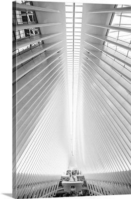 Black And White Manhattan Collection - The Oculus