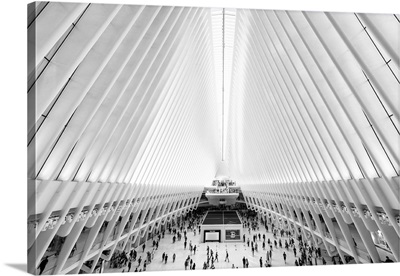 Black And White Manhattan Collection - The Oculus WTC