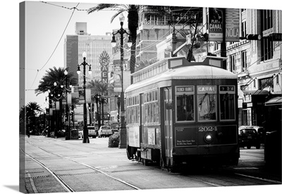 Black And White NOLA Collection - New Orleans Streetcar
