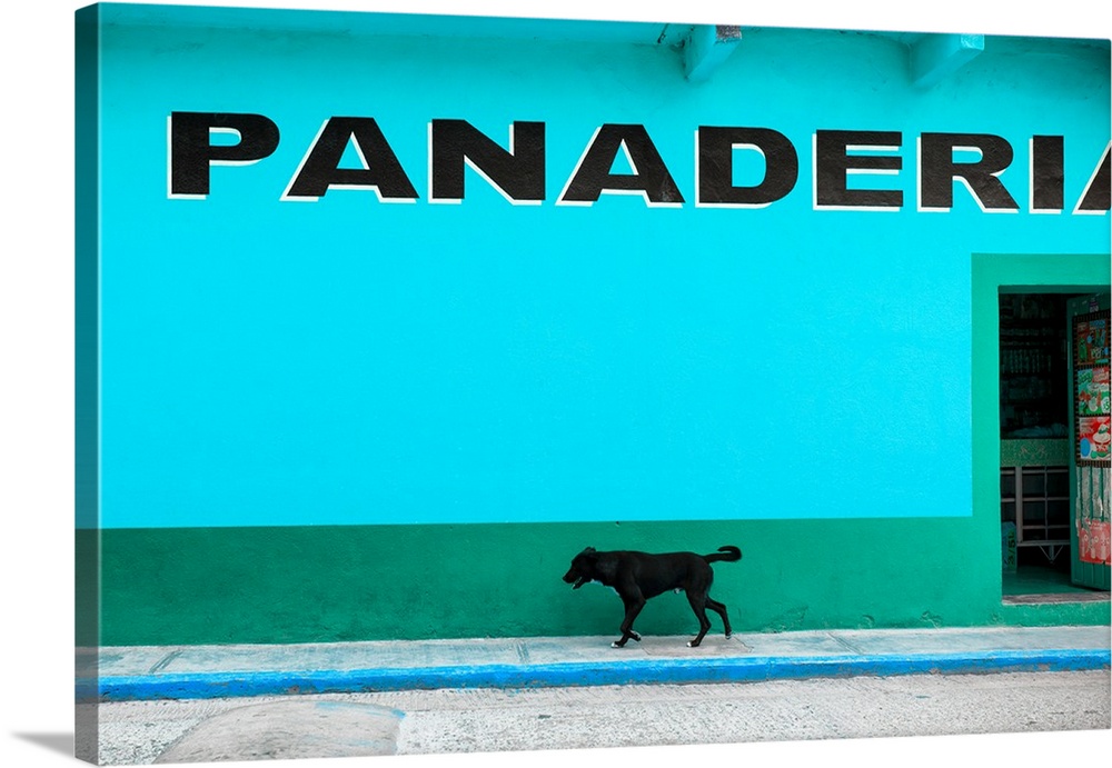 Photograph of a stray black dog walking down the sidewalk in front of a bakery with blue exterior walls. From the Viva Mex...