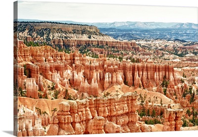 5-Pack Circle CaptureRock Formations in Bryce Canyon Amphitheater | 24x36 Utah Outdoor Contour Wall Decor CGSignLab 