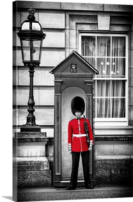 Buckingham Palace Guard, London