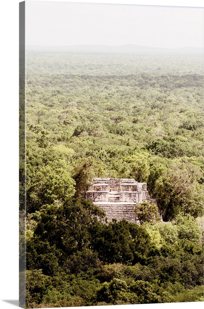 Aerial photograph of Calakmul, an ancient Mayan city, Mexico. From the Viva Mexico Collection.