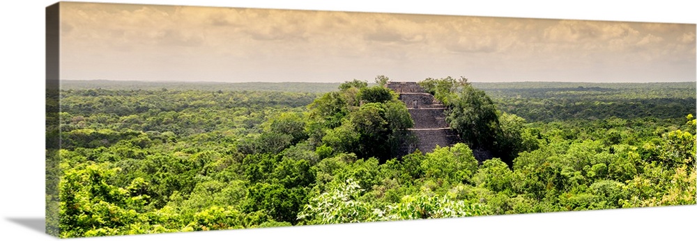 Panoramic photograph of Calakmul archaeological site that is deep in the jungle in Campeche, Mexico, at sunset. From the V...
