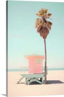 California Dreaming - Beachside Pink Bliss