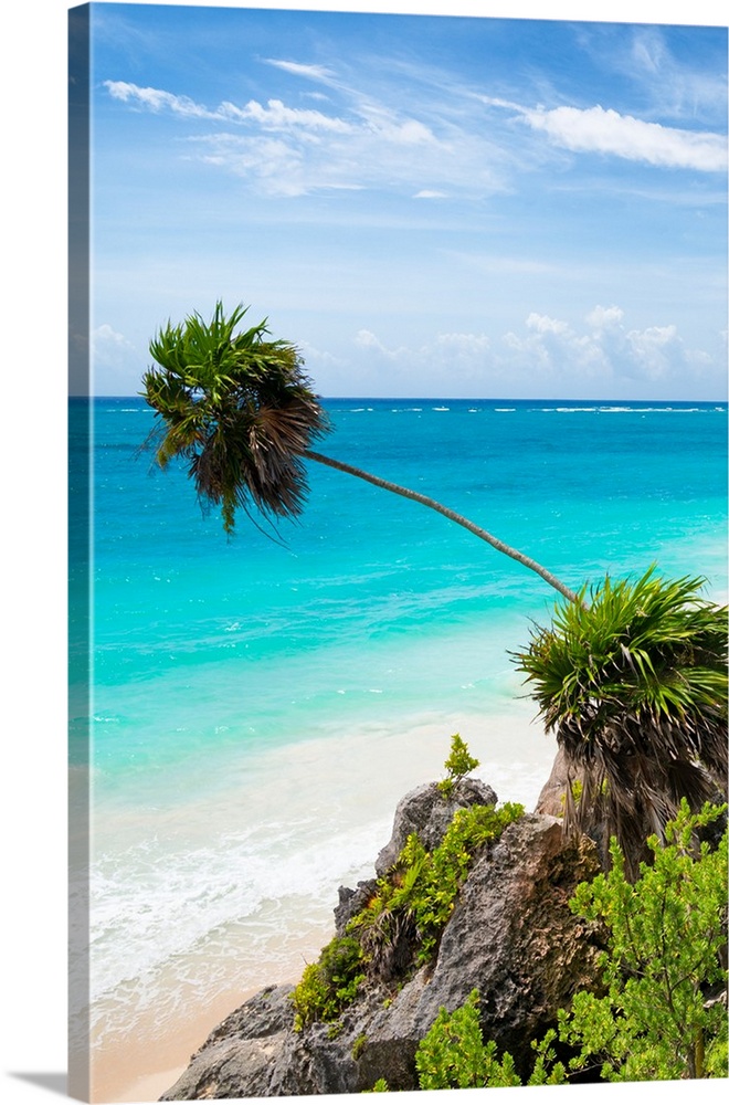Photograph of a relaxing Caribbean beach scene in Tulum, Mexico with a leaning palm tree. From the Viva Mexico Collection.