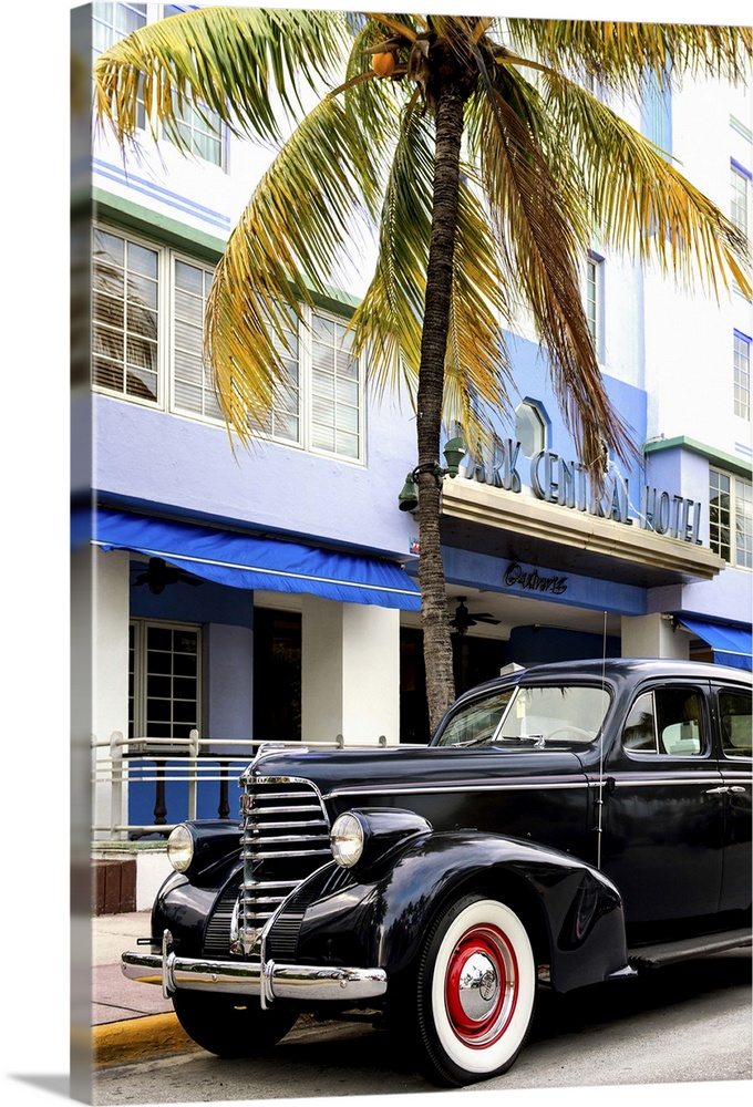 Photograph of a classic car in Miami, Florida, under a palm tree.