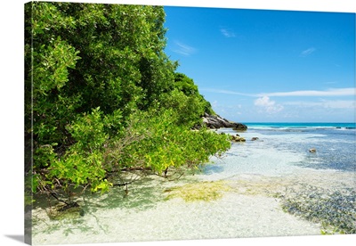 Coastline Paradise in Isla Mujeres