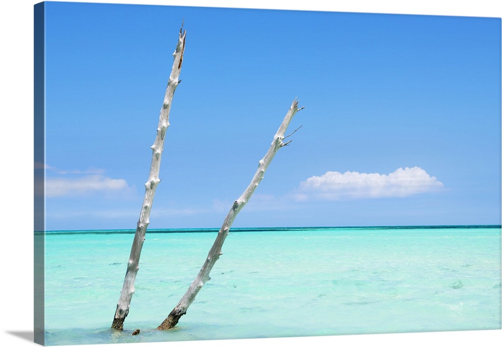 Photograph of two pieces of wood sticking up through crystal blue ocean waters.