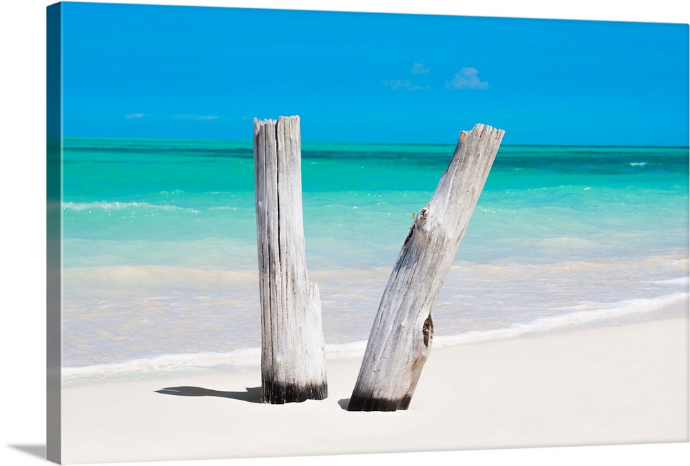Photograph of two pieces of driftwood standing up in the white sands of a Cuban beach with the ocean in the background.