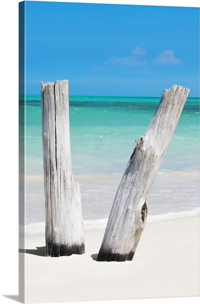 Vertical photograph of two pieces of driftwood standing up in the white sand with the ocean in the background.