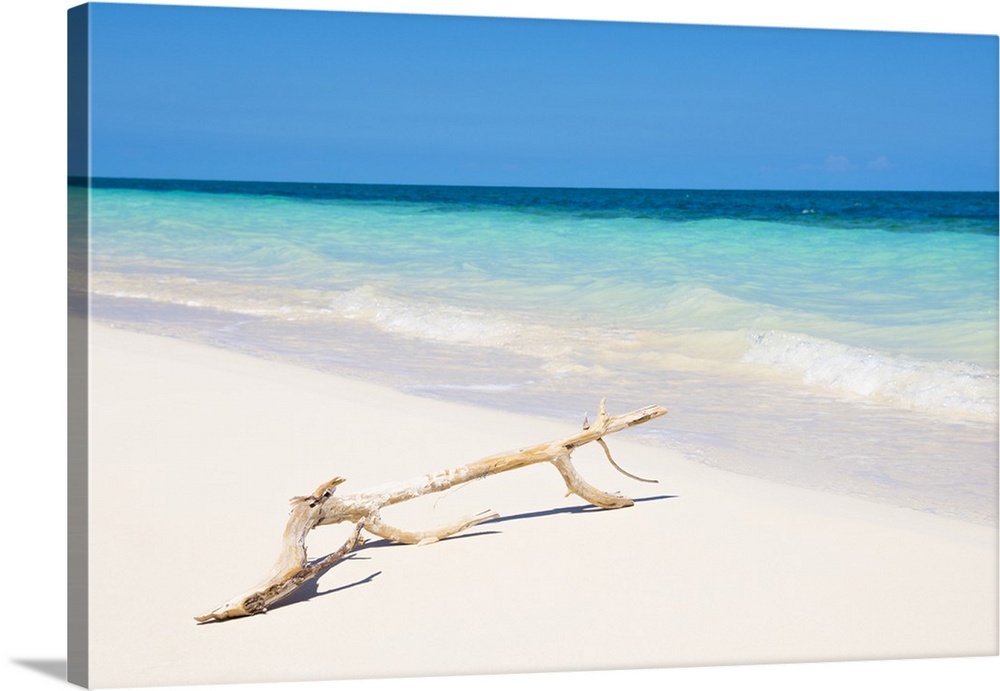 Landscape photograph with a piece of driftwood in front of a crystal blue ocean in Cuba.
