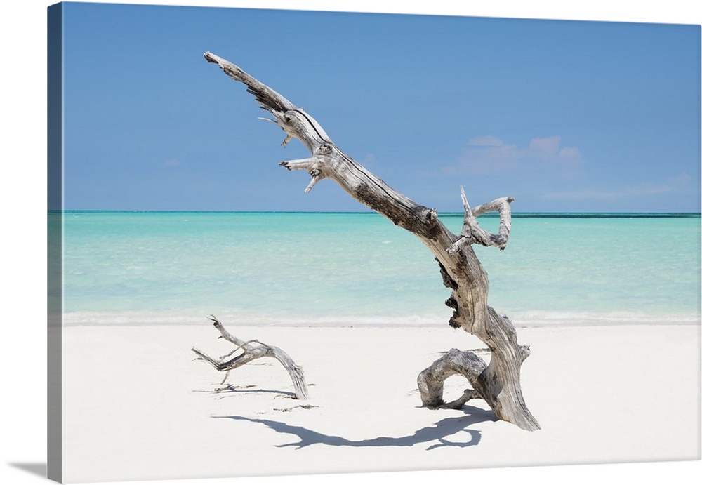 A piece of driftwood sticking up through white sand on the shore with crystal blue waters in the background.