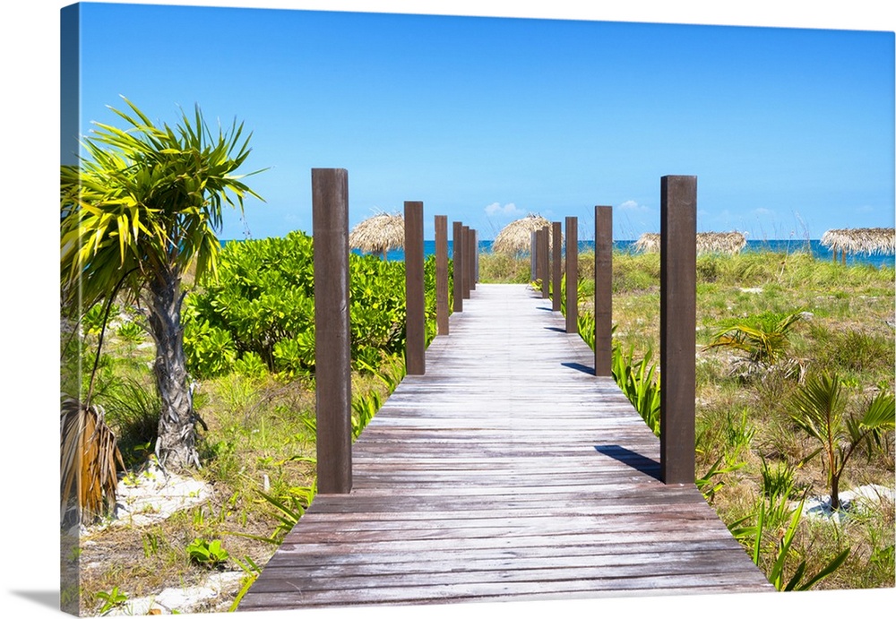 Photograph of a wooden walkway leading to the ocean and lined with green vegetation.